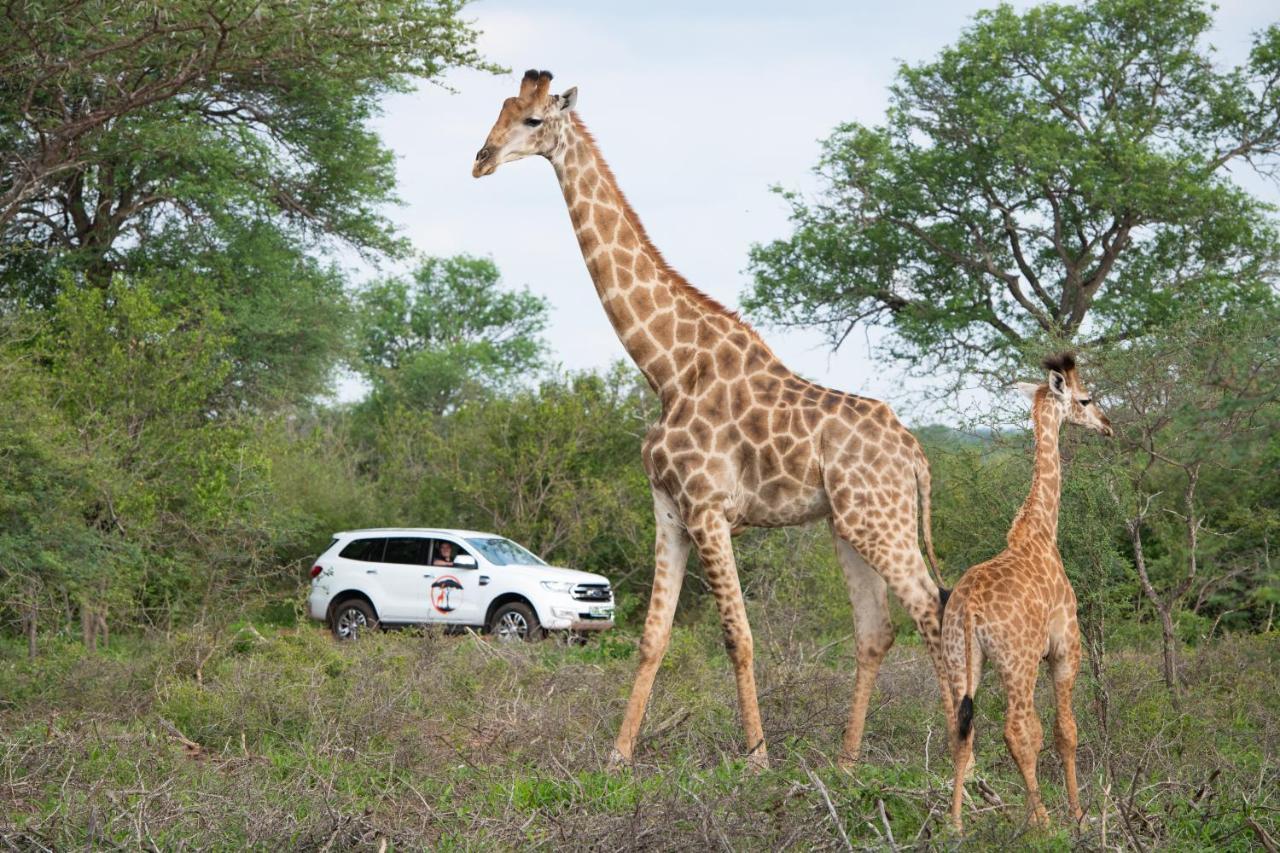 Twiga Travel Villa Hoedspruit Kültér fotó